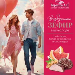 Зефир в шоколаде грейпфрут, белая смородина и алоэ-вера «Берестов А.С.»